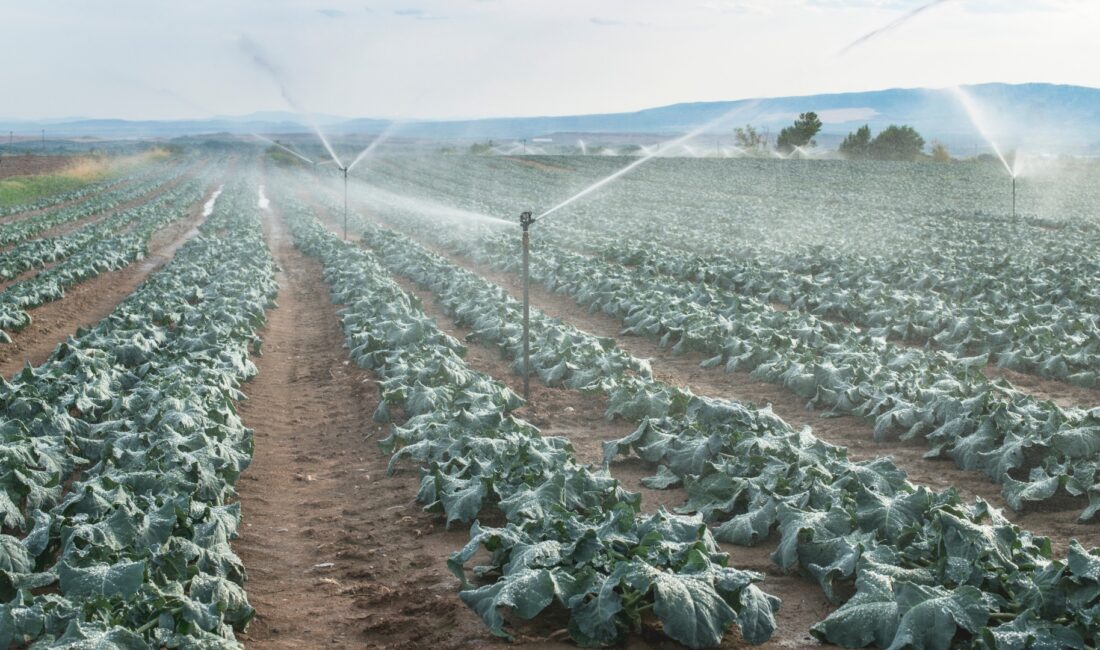 Muğla’da 140 bin dekar alan su ile buluştu Muğla/S Cemal