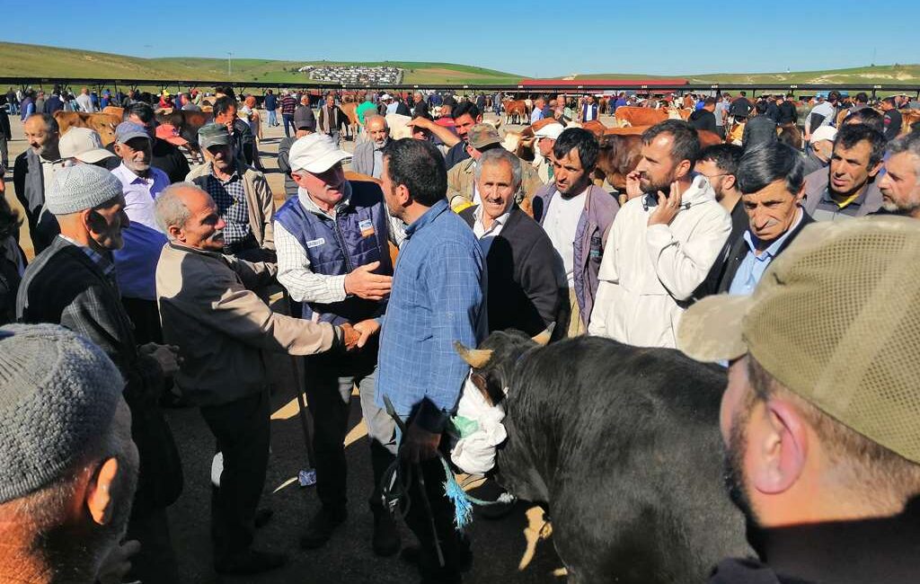 Bayburt’ta Kurban Bayramı heyecanı Yaşar Yıldız/Bayburt-BHA Kentteki tek kurbanlık satış
