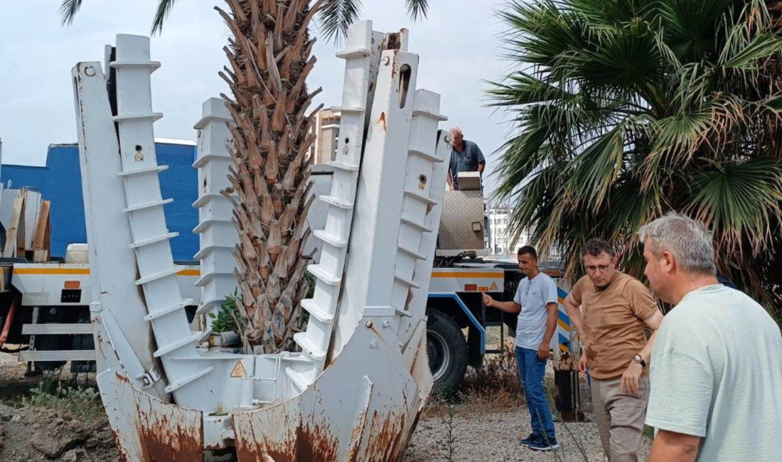   İskenderun Belediyesine bağlı Park ve Bahçeler Müdürlüğü ekipleri,
