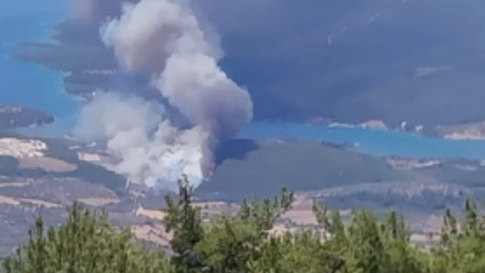   Muğla’nın Milas ilçesine bağlı Kazıklı / Gürçamlar bölgesinde