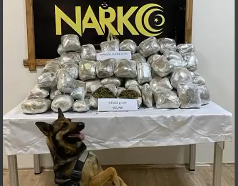   Narkotik köpekle yapılan aramada 62 kilo skunk esrar