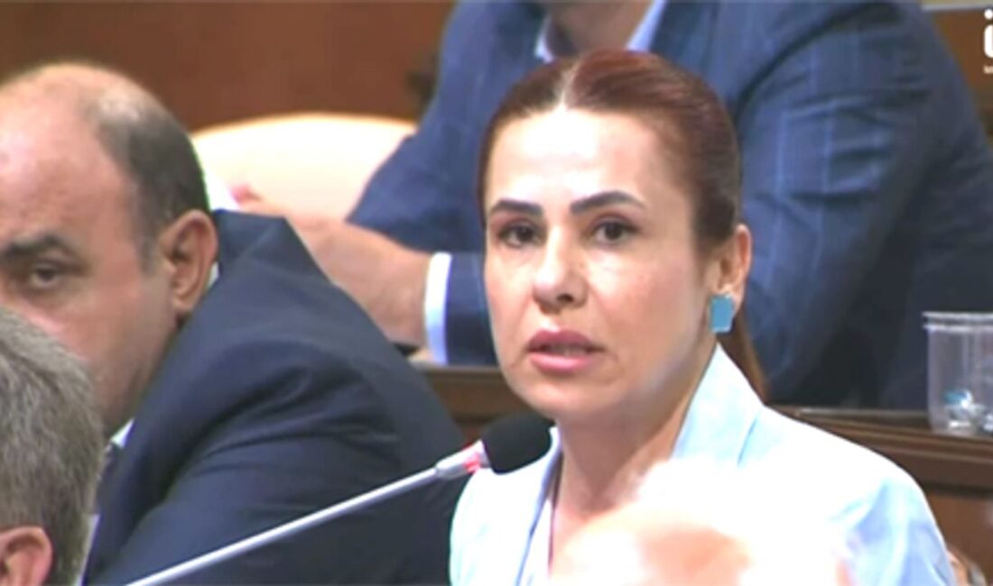  MHP Silivri ve İBB Meclis Üyesi Sultan Aşkın,