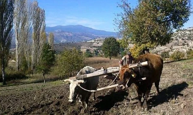   Tarım ve hayvancılık bölgesi olan Ardahan’da mazot fiyatlarına