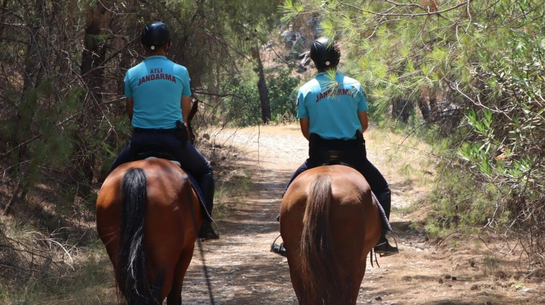   Antalya’da jandarma ve orman bölge müdürlüğüne bağlı ekipler,