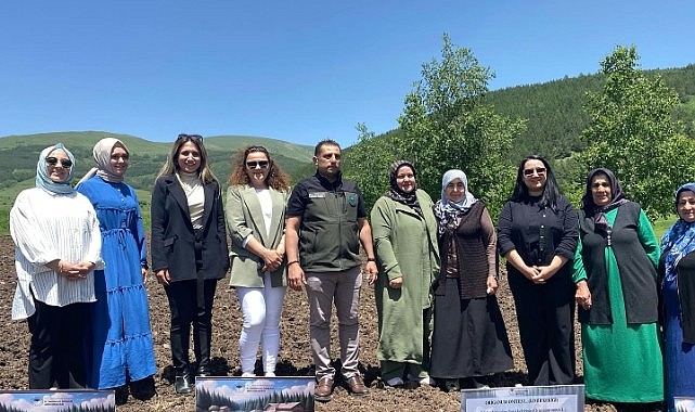 
 
 Ardahan İl Tarım ve Orman Müdürlüğü, “Ardahan Kekik