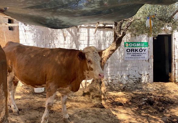 Muğla Orman Köylüsüne Destekler Sürüyor ORKÖY (Orman ve Köy İlişkileri
