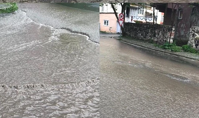   Ardahan’da sağanak yağmur hayatı olumsuz etkiledi, bazı köylerde sel
