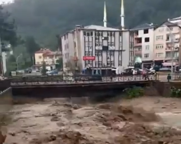   Ordu ve Muş’ta gerçekleşen sel felaketinde 2 kişi