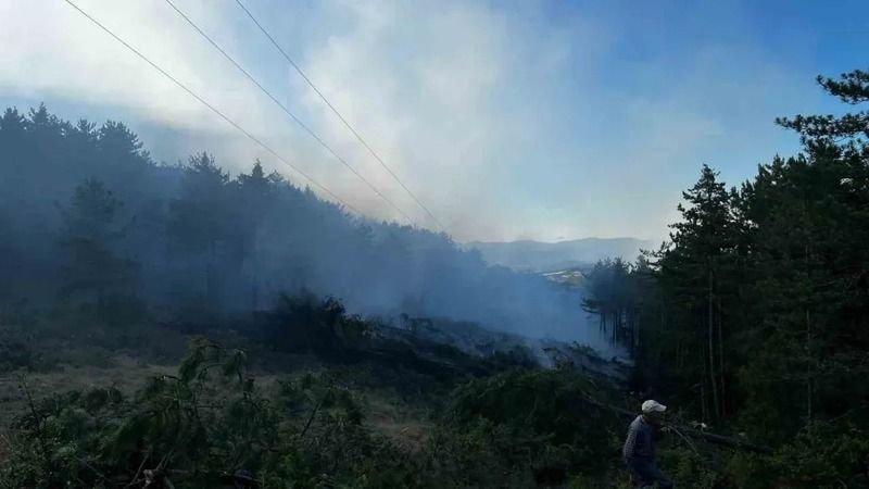   Kastamonu’nun Taşköprü ilçesinde yüksek gerilim hattından kaynaklanan yangın