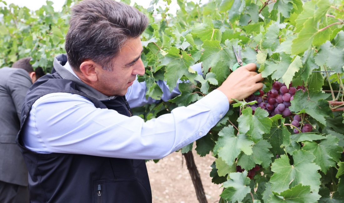   Bilecik Valisi Şefik Aygöl, İnhisar ilçesinde vatandaşlarla birlikte
