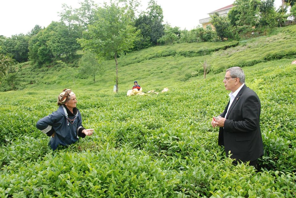   Rize’de bulunan CHP Milletvekili Tahsin Ocaklı Hükümete seslenerek,