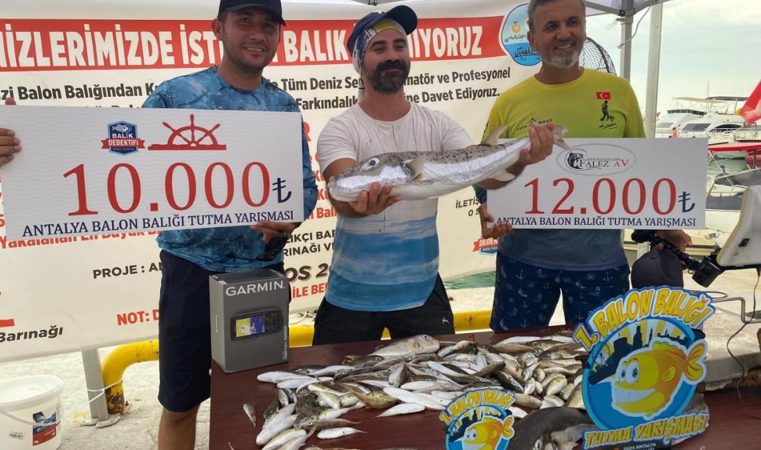 Antalya’da istilacı balon balığı avlama yarışması yapıldı Denizlerdeki istilacı türlerle