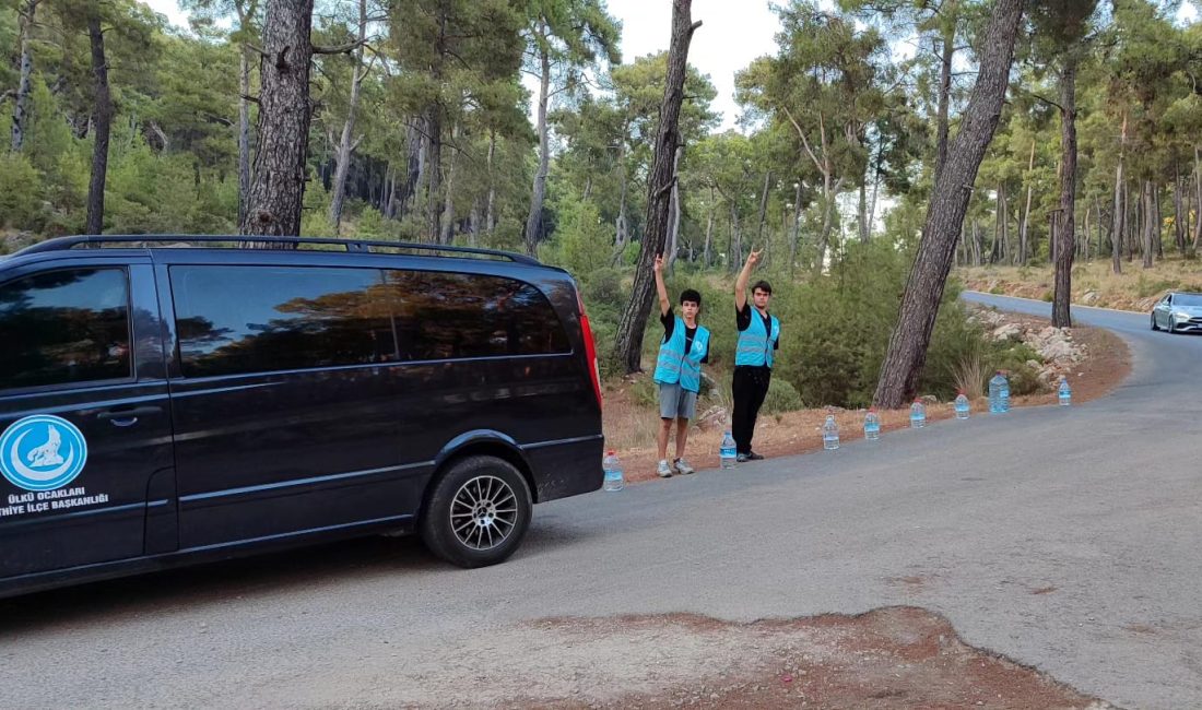   Ülkü Ocakları Fethiye İlçe Başkanlığı ormanlık alanlarda yol