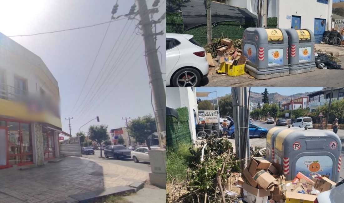 Bodrum Belediyesi Temizlik İşleri ve Zabıta müdürlükleri ekiplerince yürütülen çalışmalar