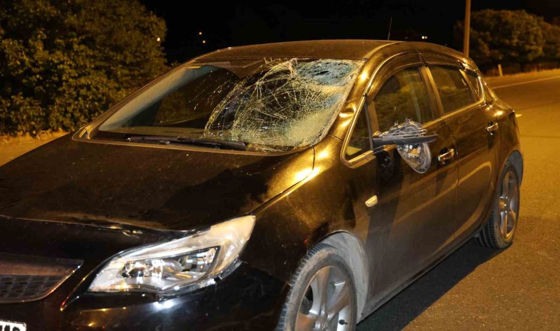 Elazığ’da yolun karşısına geçmeye çalıştığı sırada otomobilin çarpması sonucu ağır