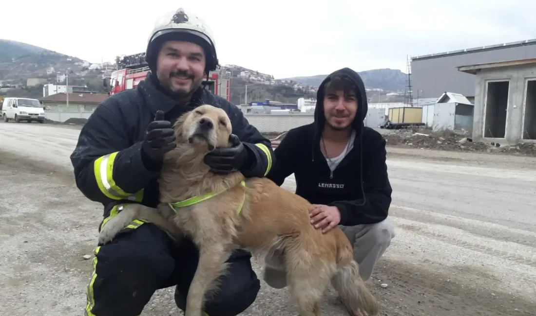   Tokat’ta golden cinsi köpeğin, itfaiye ekipleri tarafından yangından