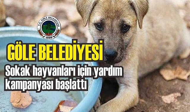   Göle Belediyesi, sokak hayvanları için destek kampanyası başlattı.