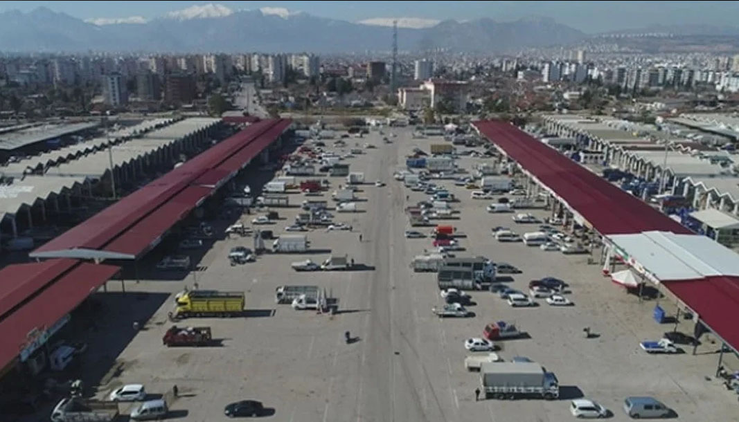 Antalya hallerinde işlem gören domates miktar endeksi yıllık yüzde 44.30