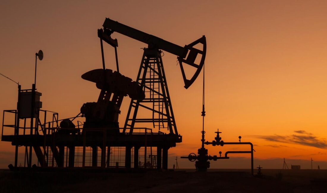 ANKARA-BHA Enerji ve Tabii Kaynaklar Bakanlığı Maden ve Petrol İşleri